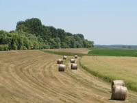 Radtour: Poroszló – Tiszafüred (55 km)