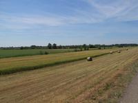 Radtour: Poroszló – Tiszafüred (55 km)