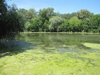 Radtour: Poroszló – Tiszafüred (55 km)