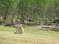 Radtour: Poroszló – Tiszafüred (55 km)