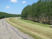 Radtour: Poroszló – Tiszafüred (55 km)