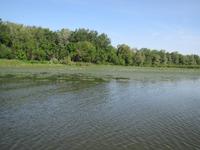 Bootstour auf der Theiss