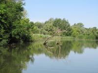 Bootstour auf der Theiss