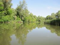 Bootstour auf der Theiss