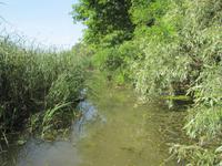 Bootstour auf der Theiss