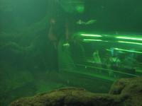 Ökozentrum an der Theiss