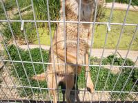 Ökozentrum an der Theiss