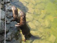 Ökozentrum an der Theiss