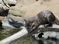 Ökozentrum an der Theiss