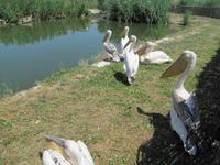 Ökozentrum an der Theiss