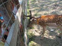 Ökozentrum an der Theiss