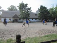 Reitershow im Hotel Varga Tanya