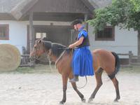 Reitershow im Hotel Varga Tanya