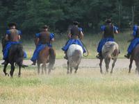 Reitershow im Hotel Varga Tanya