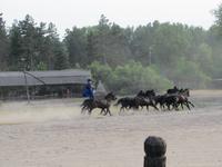 Reitershow im Hotel Varga Tanya