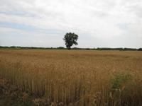 Radtour durch die Puszta