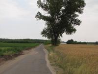 Radtour durch die Puszta