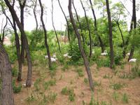 Radtour durch die Puszta