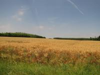 Radtour durch die Puszta