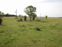 Pferdekutschfahrt - Hotel Varga Tanya