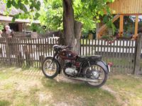 Pferdekutschfahrt - Hotel Varga Tanya