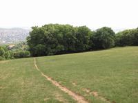 Budapest Stadtrundfahrt