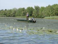 Bootstour auf der Theiss