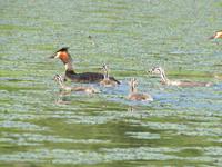 Bootstour auf der Theiss