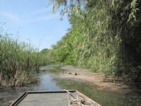 Bootstour auf der Theiss