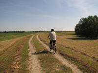 Radtour - Komárom nach Esztergom (60 km)