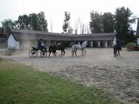 Reitershow im Hotel Varga Tanya