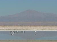 Los Flamencos &ndash; &copy; Jana Maria Kleibert (Eberhardt TRAVEL)