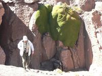 Fotostop bei riesiger Flechte &ndash; &copy; Jana Maria Kleibert (Eberhardt TRAVEL)