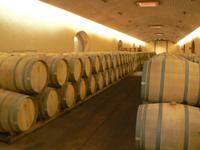 Weinfässerlagerung &ndash; &copy; Jana Maria Kleibert (Eberhardt TRAVEL)