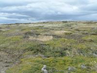 Seno Otway Pinguin-Kolonie &ndash; &copy; Jana Maria Kleibert (Eberhardt TRAVEL)