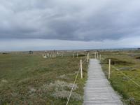 Seno Otway Pinguin-Kolonie &ndash; &copy; Jana Maria Kleibert (Eberhardt TRAVEL)