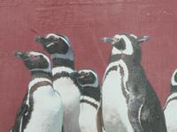 Seno Otway Pinguin-Kolonie &ndash; &copy; Jana Maria Kleibert (Eberhardt TRAVEL)