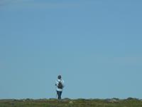 Sparrow Cove Pinguinkolonie &ndash; &copy; Jana Maria Kleibert (Eberhardt TRAVEL)