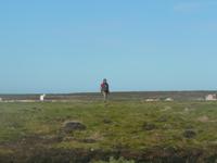 Falklandinseln &ndash; &copy; Jana Maria Kleibert (Eberhardt TRAVEL)