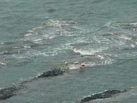 Flamingos &ndash; &copy; Jana Maria Kleibert (Eberhardt TRAVEL)