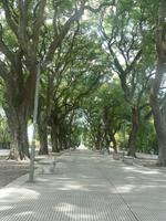 Allee in Buenos Aires &ndash; &copy; Jana Maria Kleibert (Eberhardt TRAVEL)