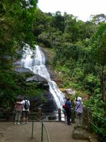 Taunay-Wasserfall im Tijuca-Regenwald