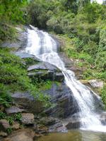 Taunay-Wasserfall im Tijuca-Regenwald