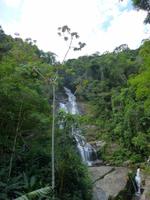 Taunay-Wasserfall im Tijuca-Regenwald