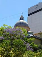 Dom von Buenos Aires