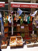 Rundgang durch Montevideo