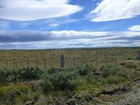 Fahrt durch die chilenische Pampa