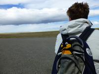 ..der erste Pinguin!