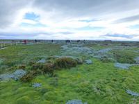 Spaziergang am Seno Otway