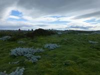 Spaziergang am Seno Otway